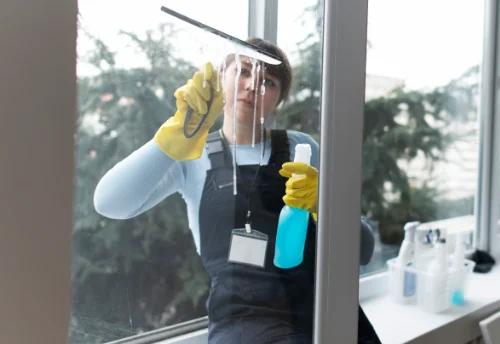Nettoyage de vitres intérieures et extérieures à Milly-sur-Bradon